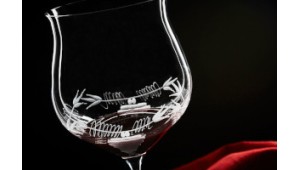 Crystal Wine Tasting Glasses: The Ultimate Sip Swag